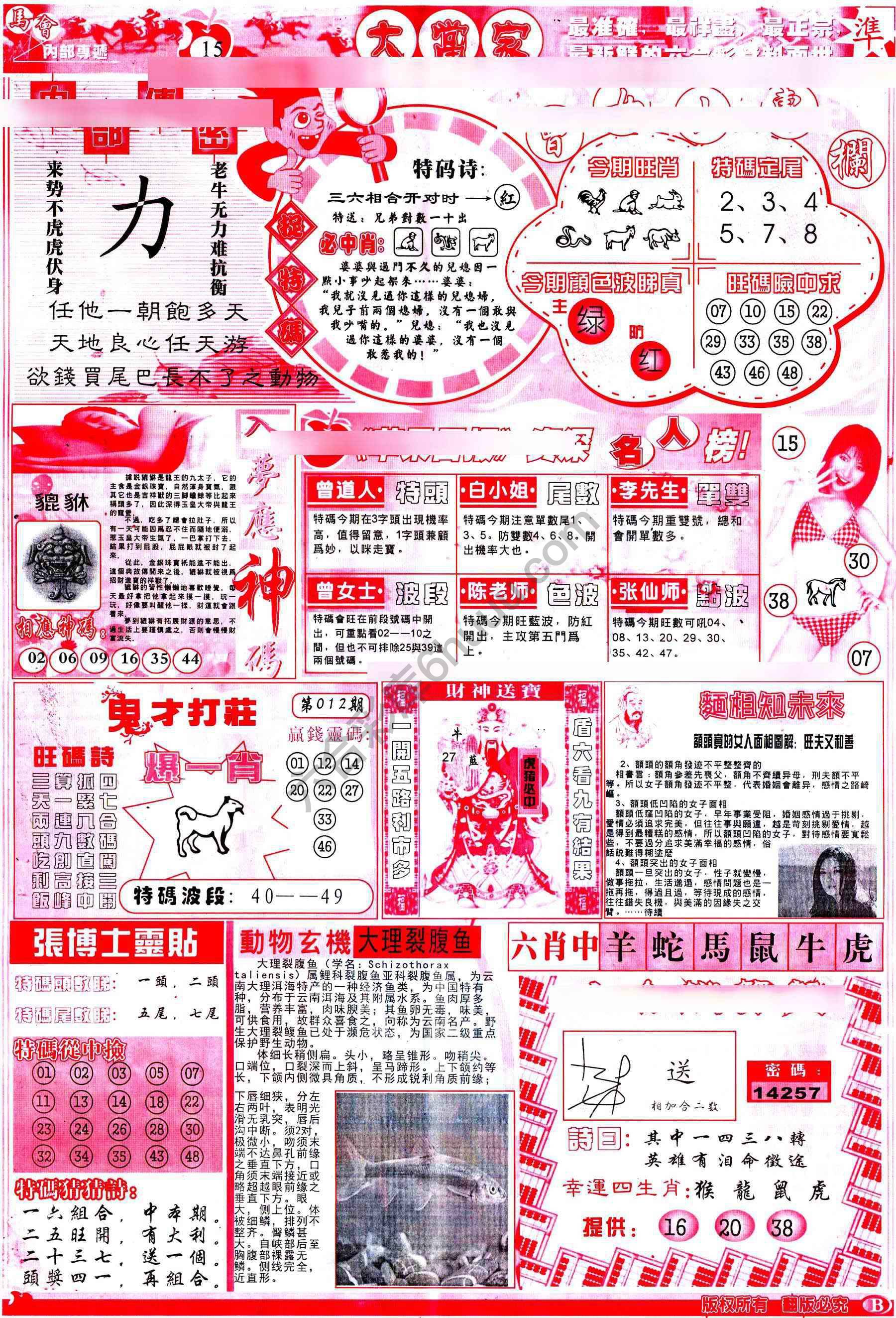 大当家