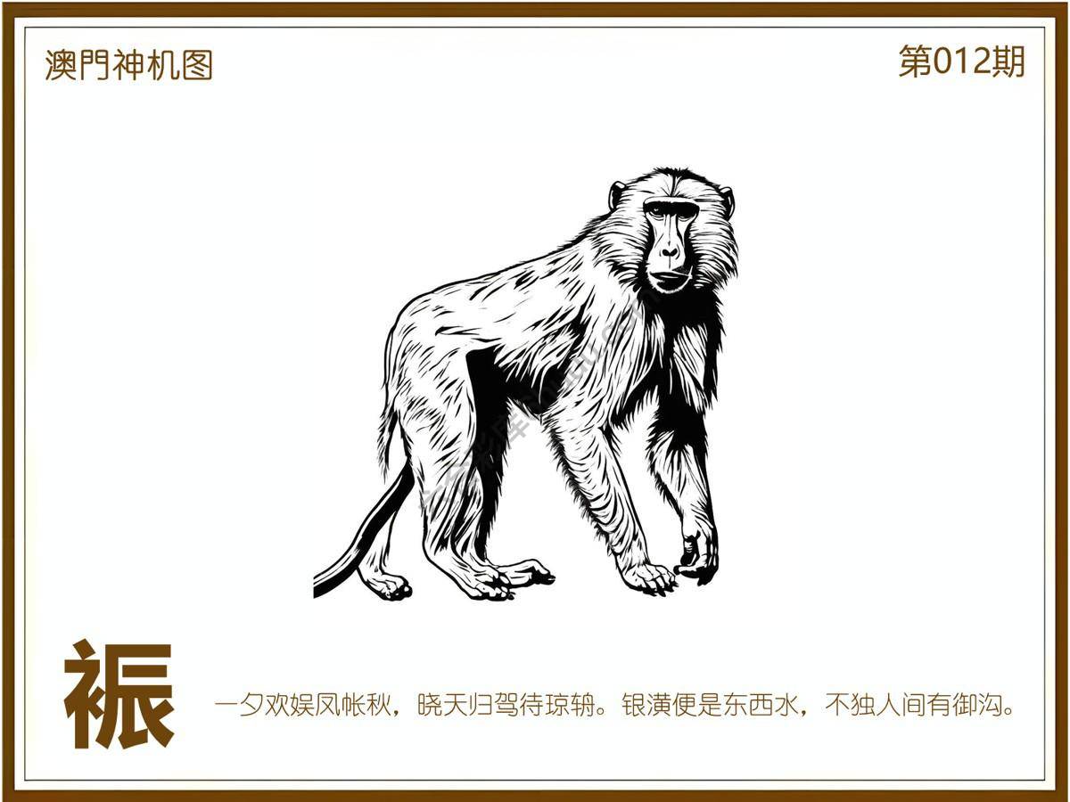 澳门神机图