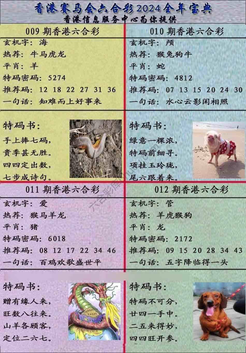 宝典报
