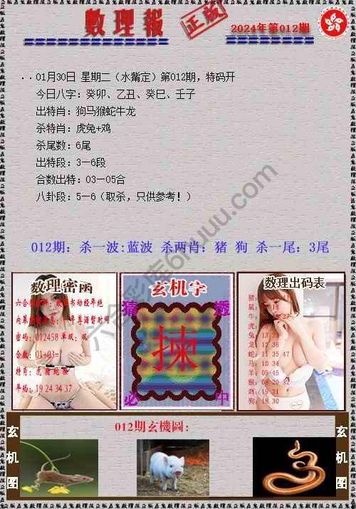 数理报
