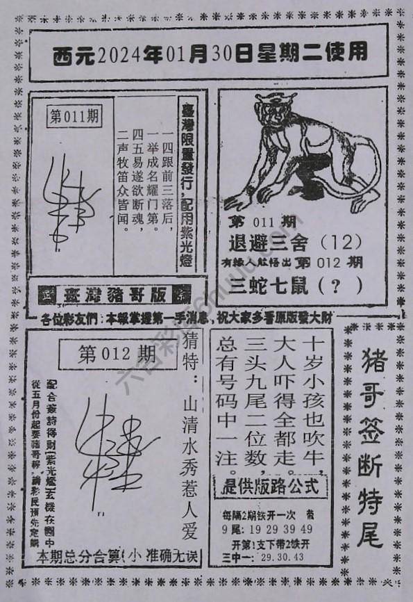 猪哥签断特尾