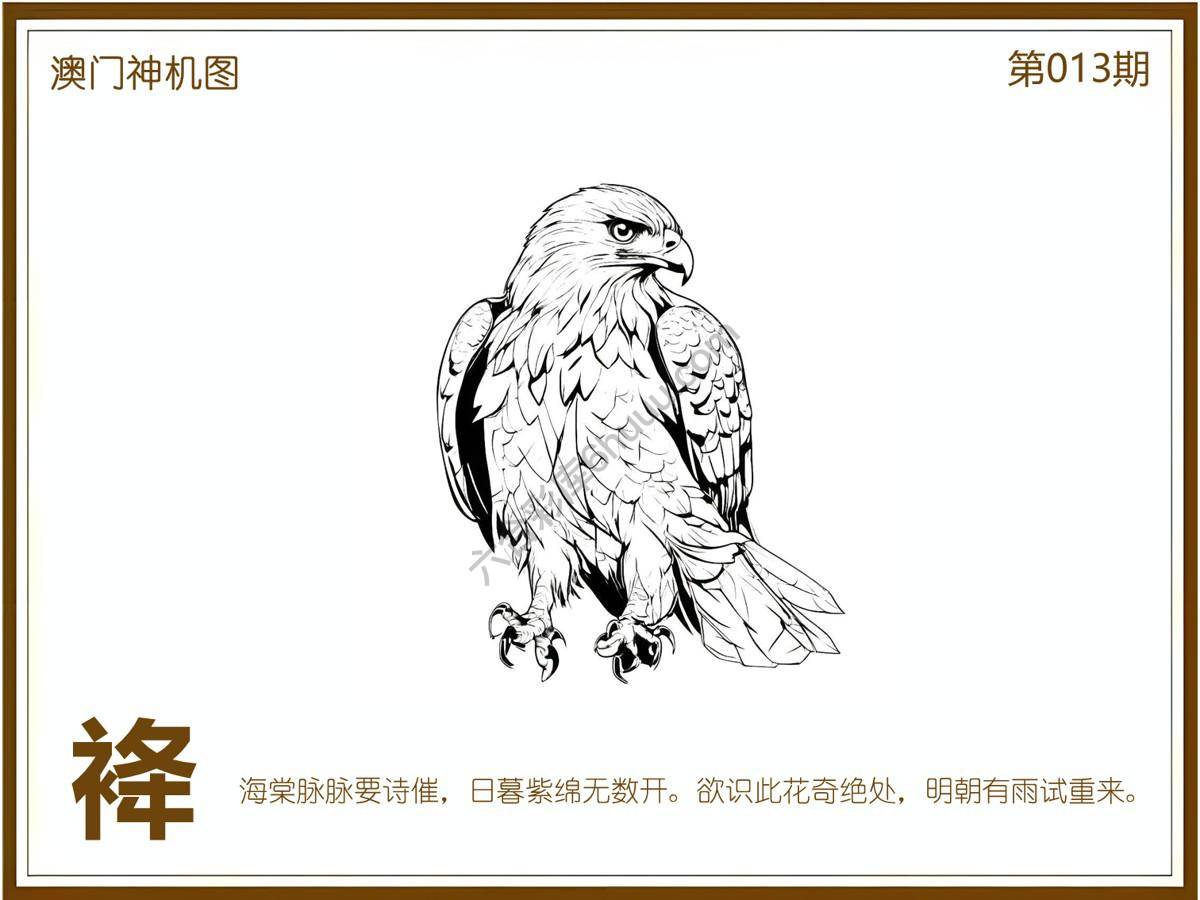 澳门神机图