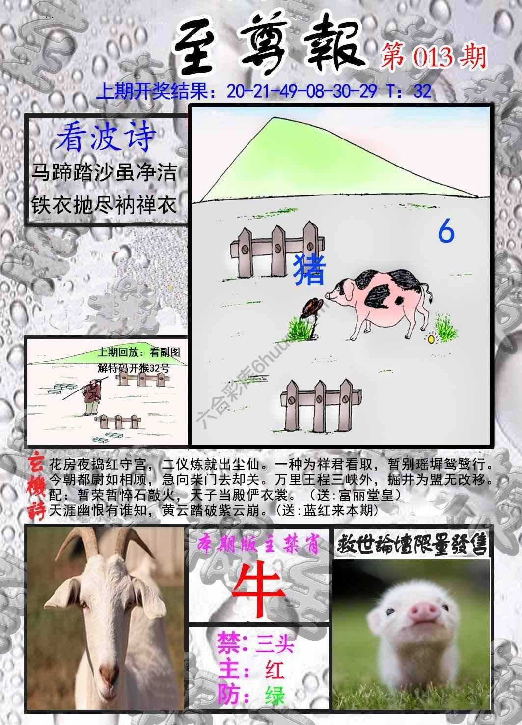 至尊报