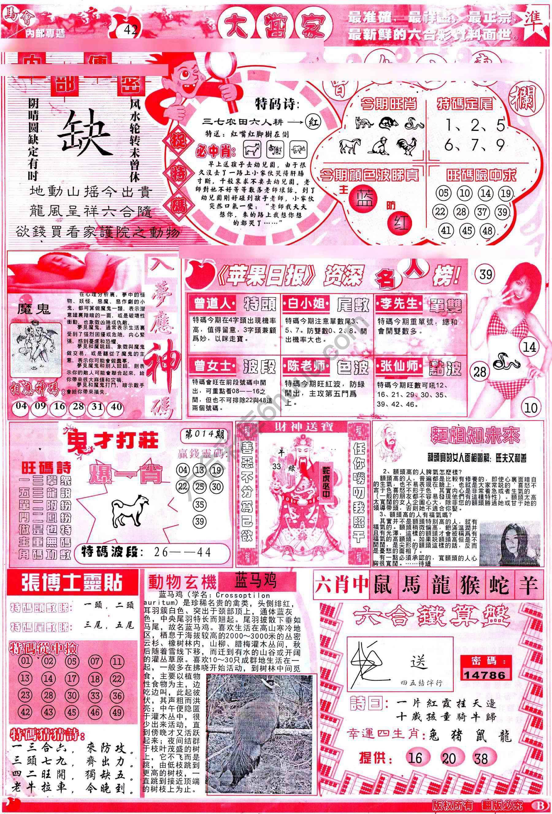 大当家