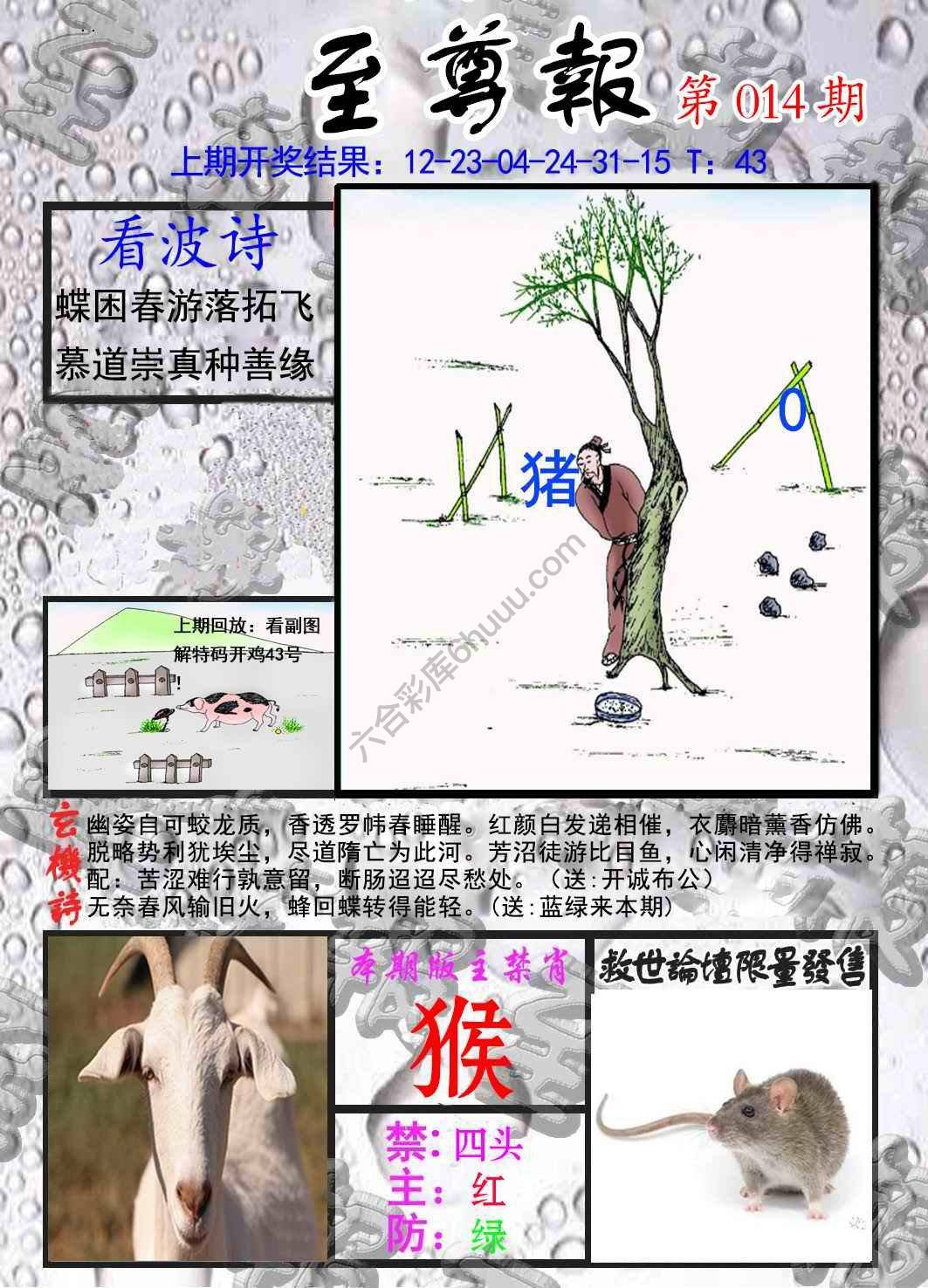 至尊报