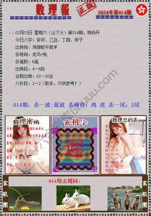 数理报