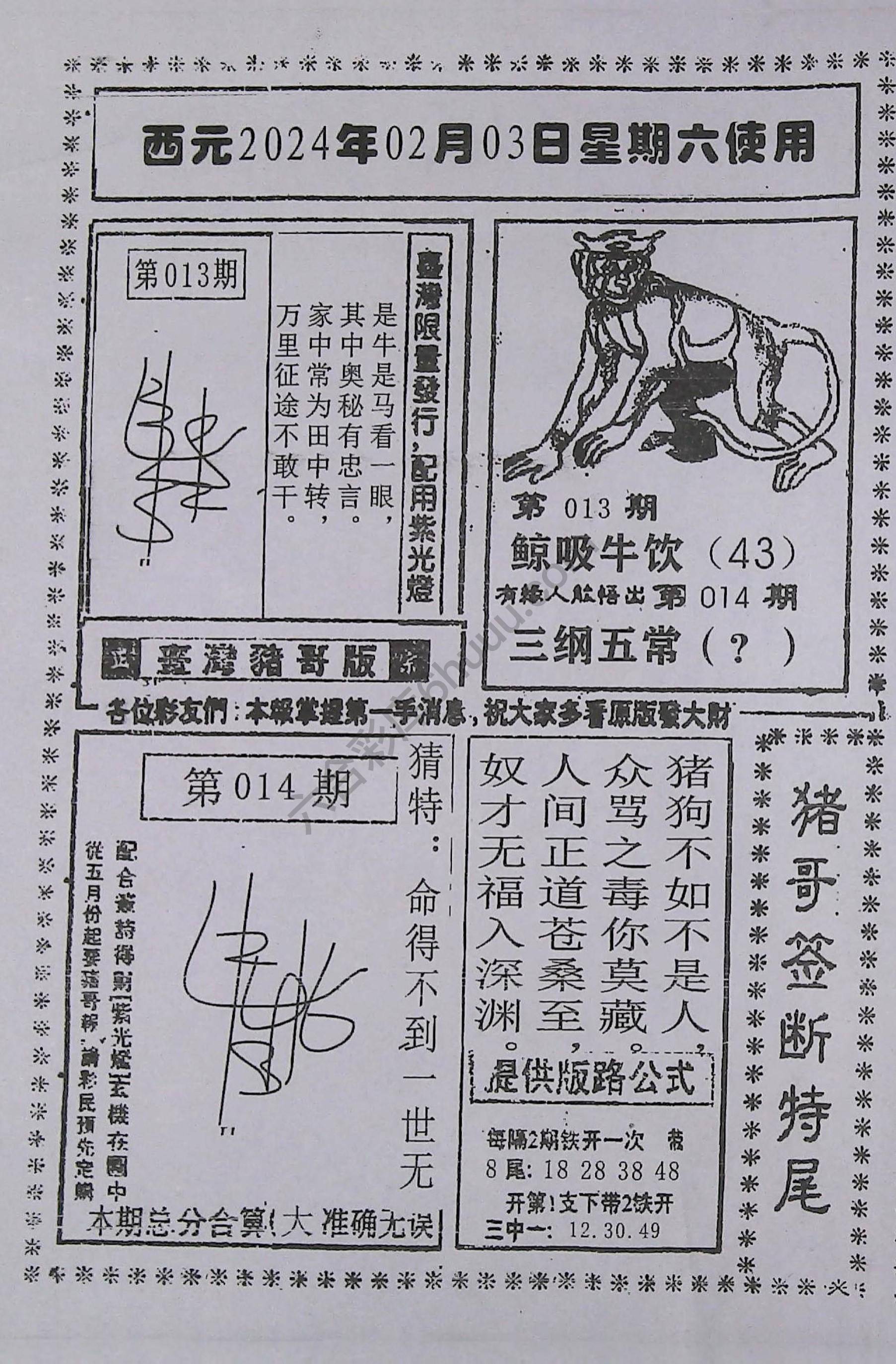 猪哥签断特尾
