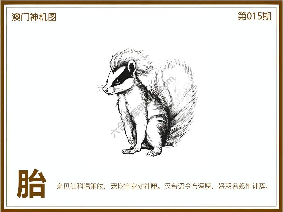 澳门神机图