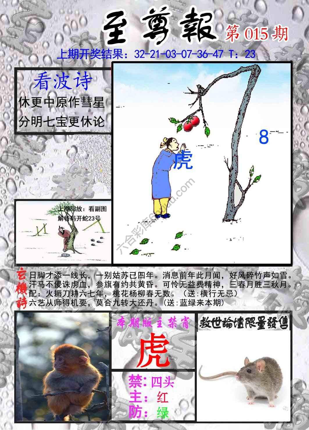至尊报