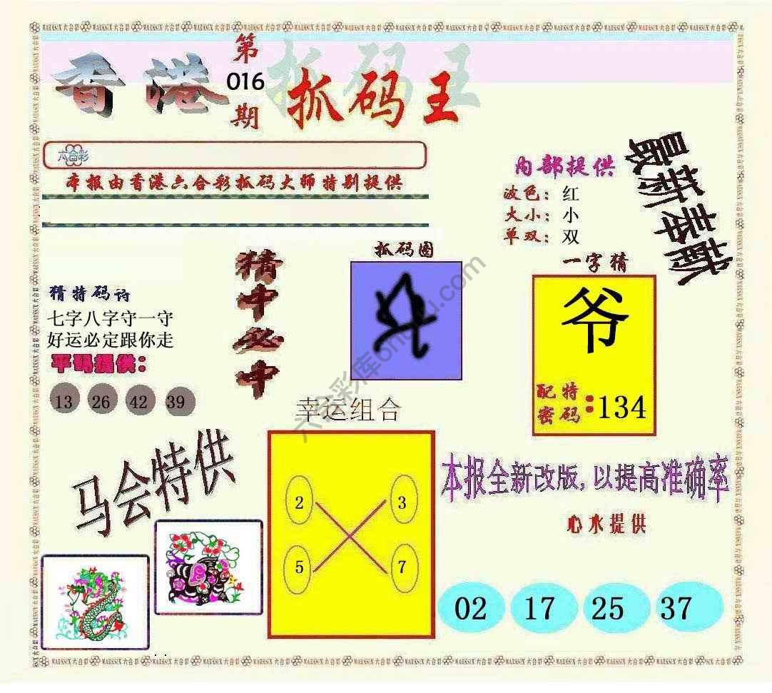 新抓码王