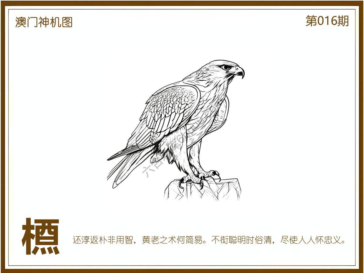 澳门神机图