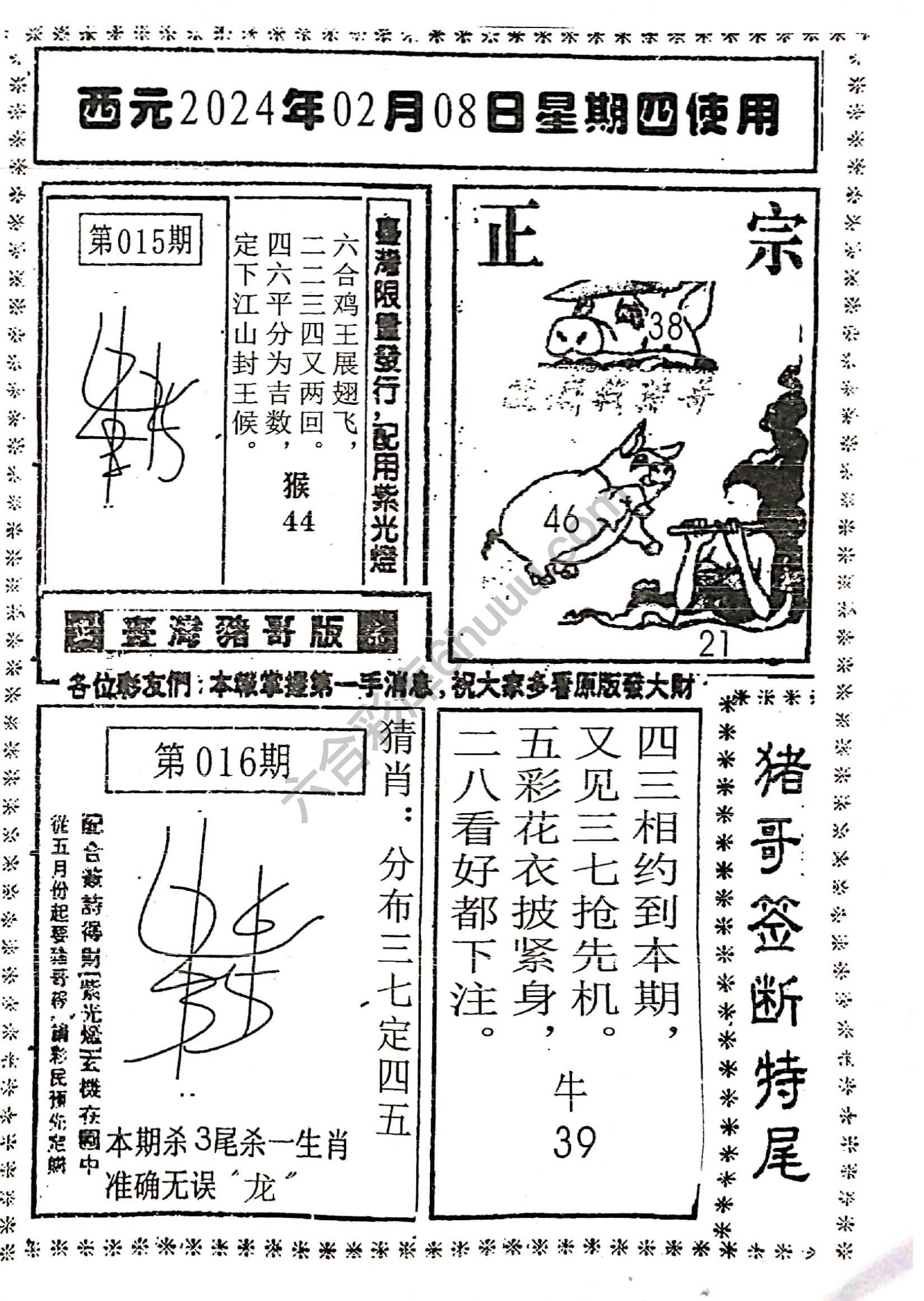 猪哥签断特尾