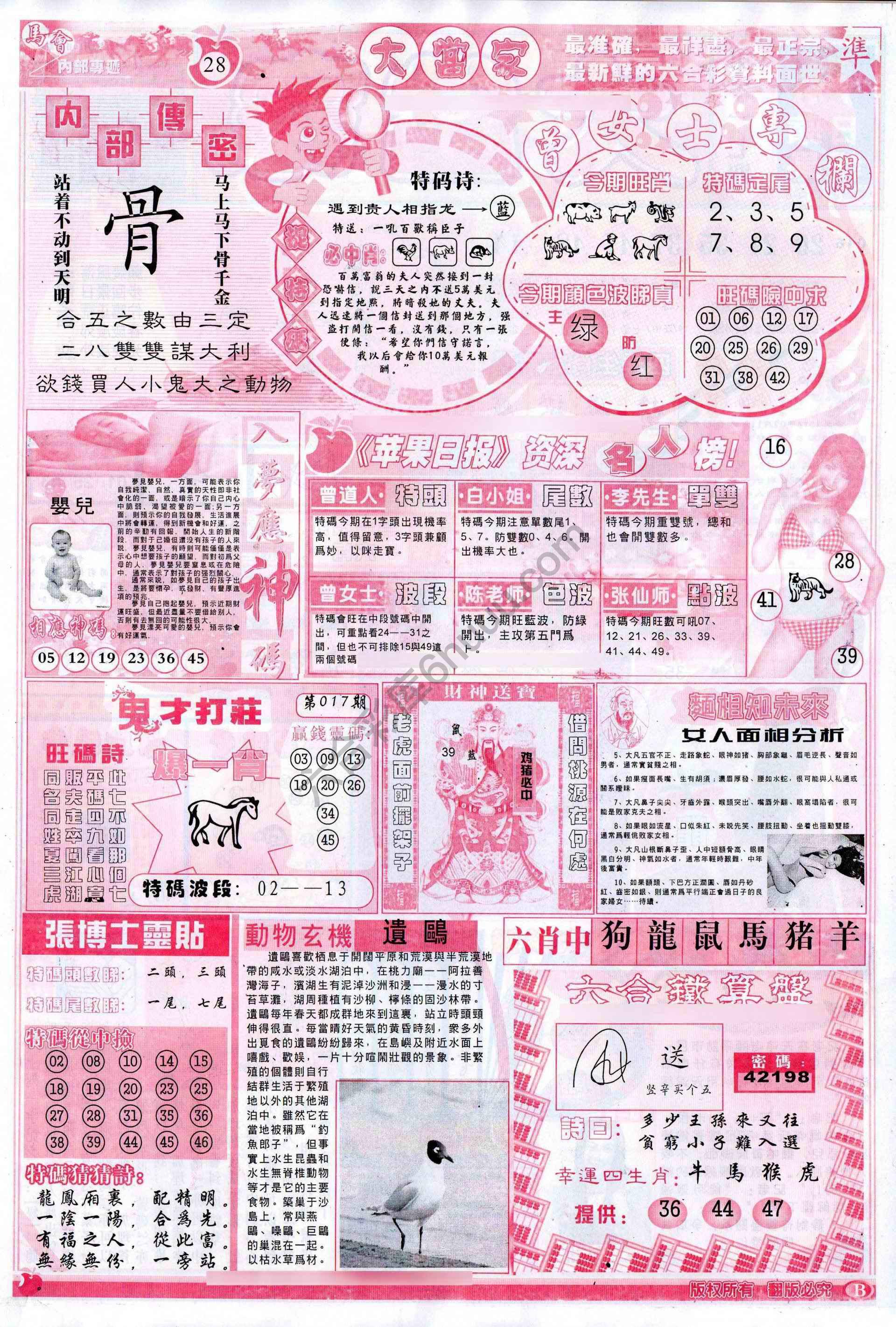 大当家