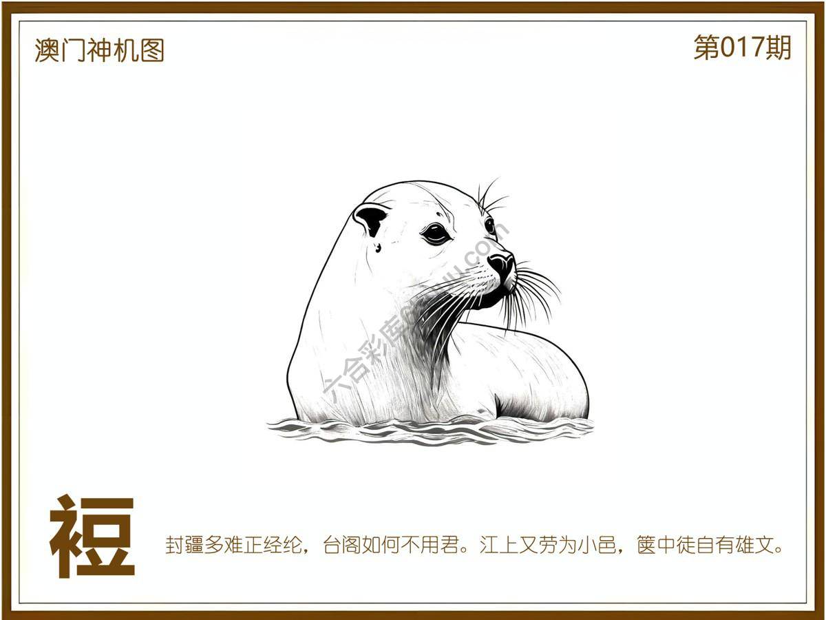 澳门神机图