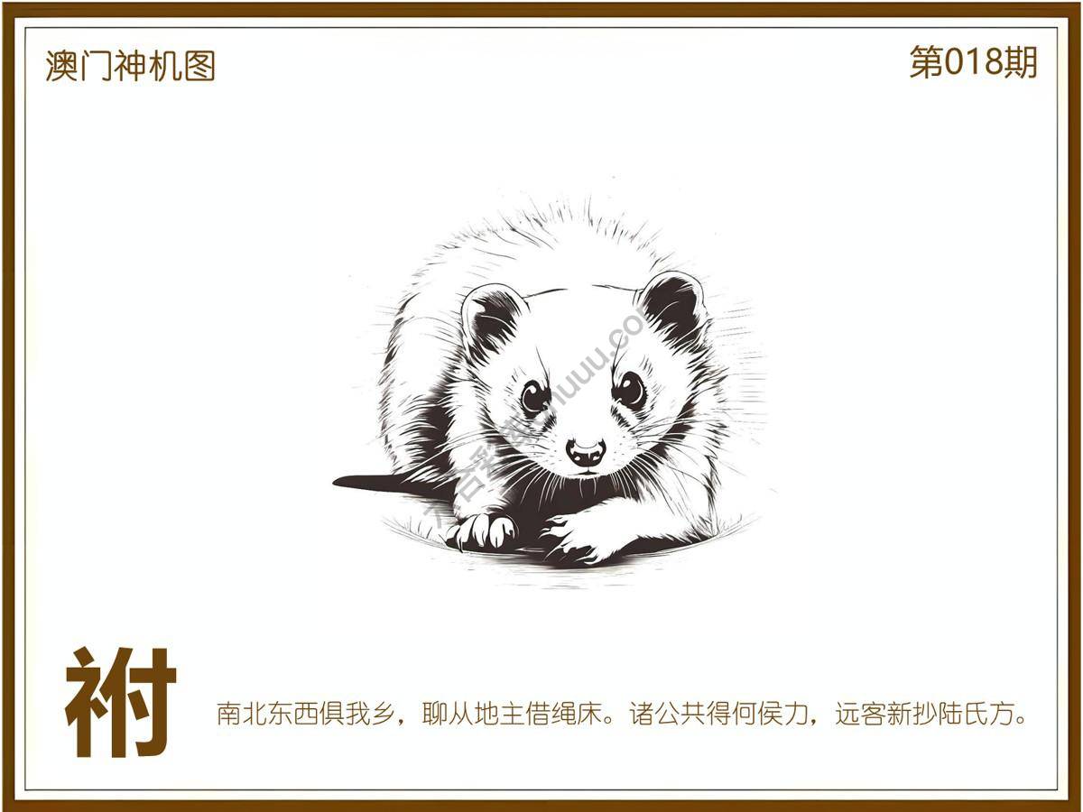 澳门神机图