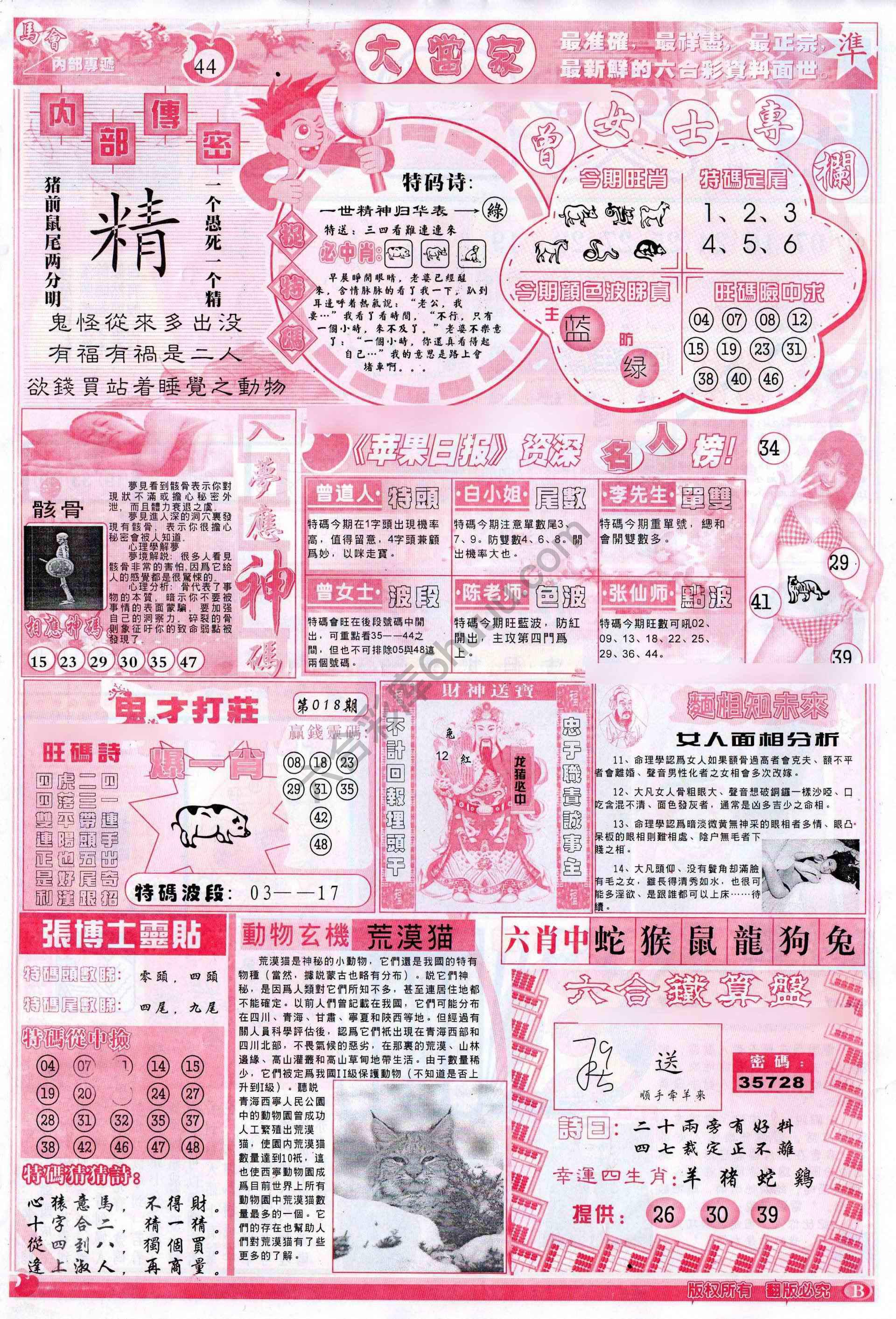 大当家