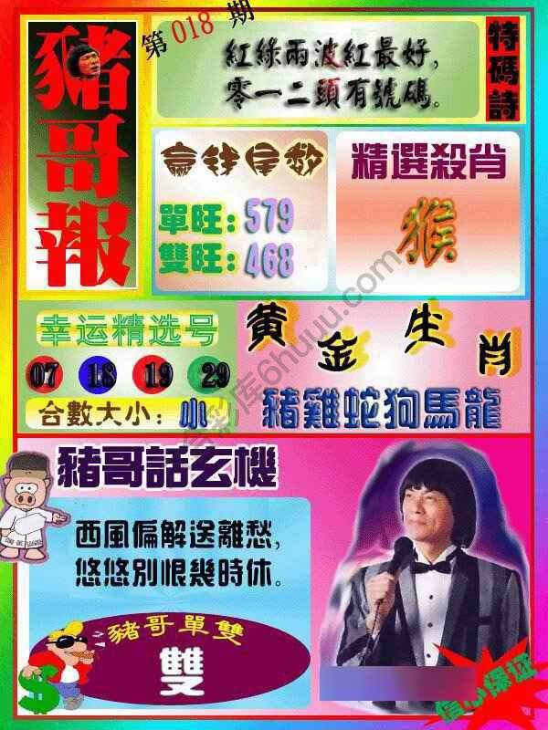 猪哥报