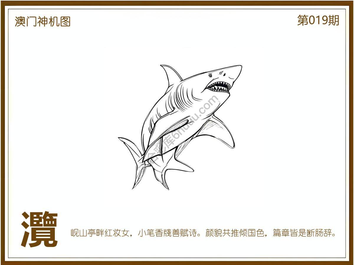 澳门神机图