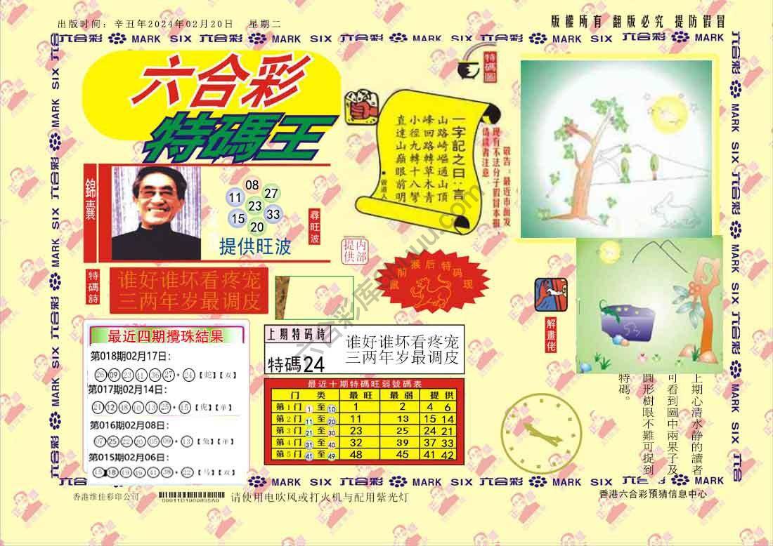 特码王