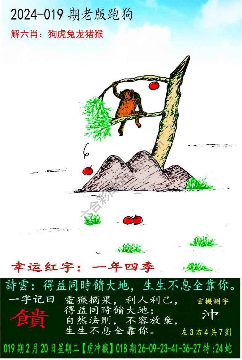 老版跑狗图