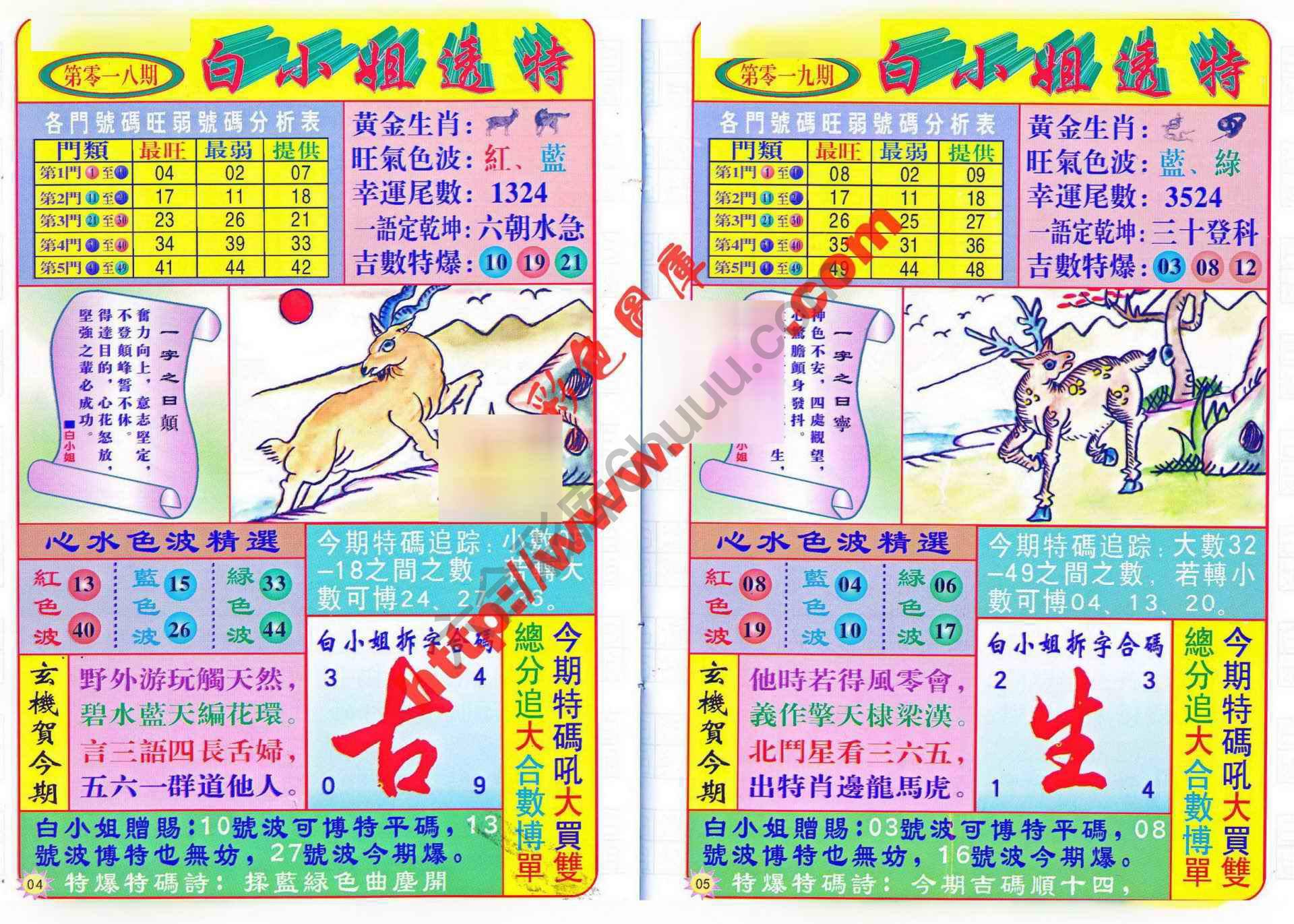 白小姐透特