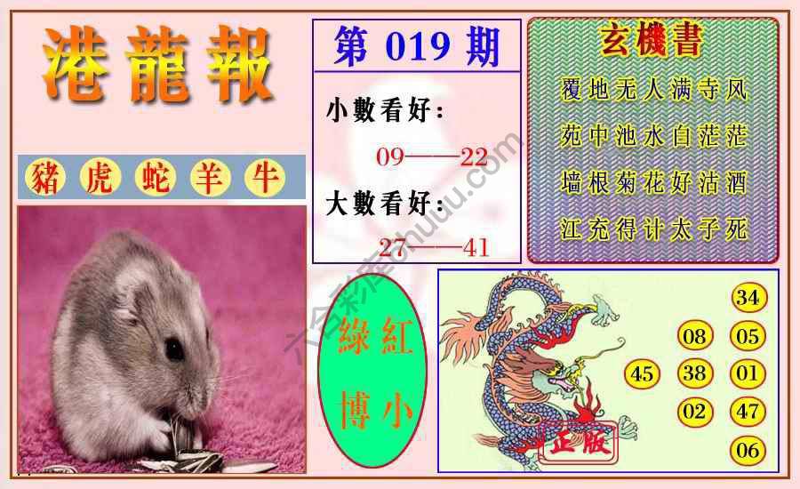 港龙报