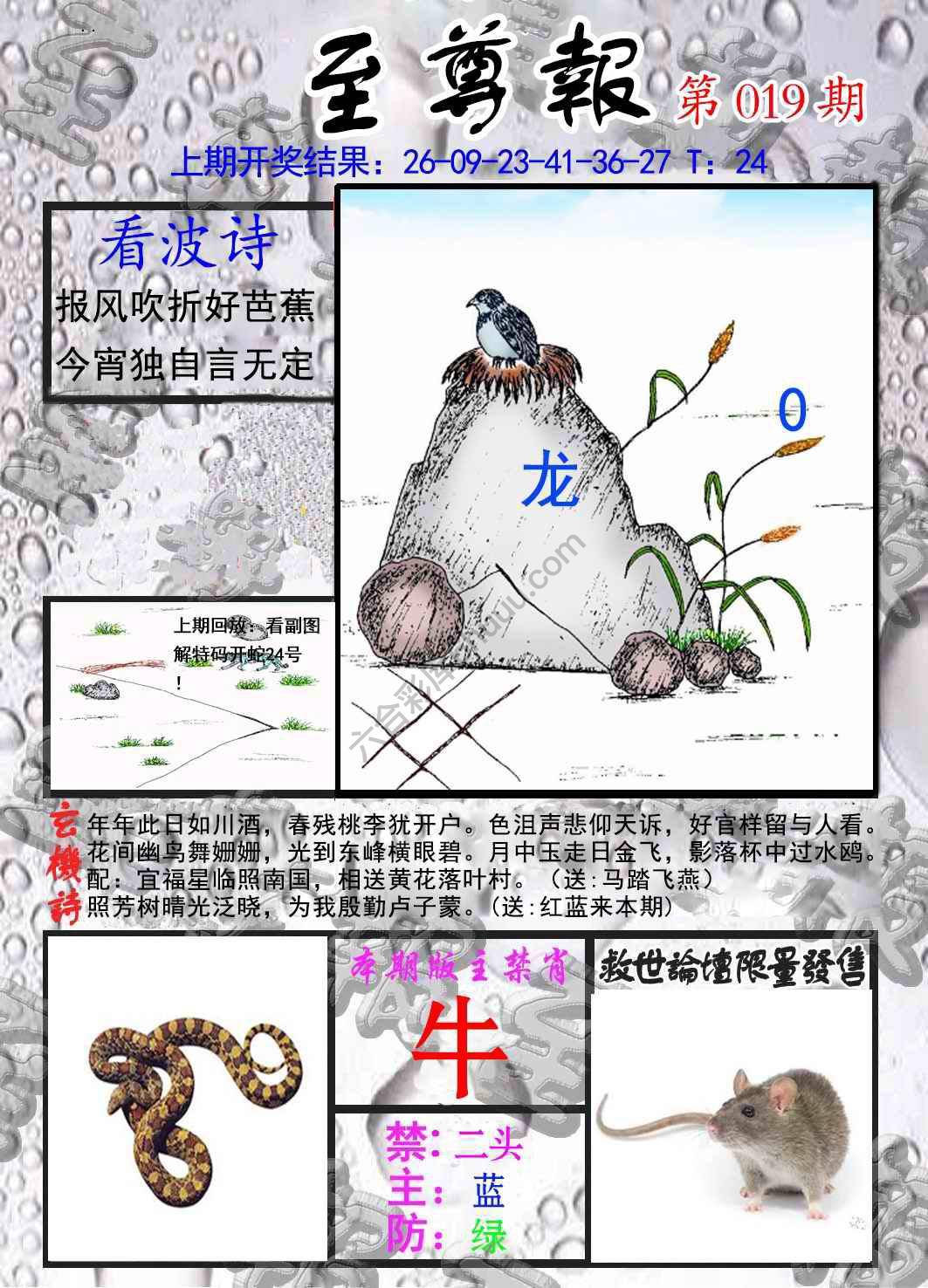 至尊报