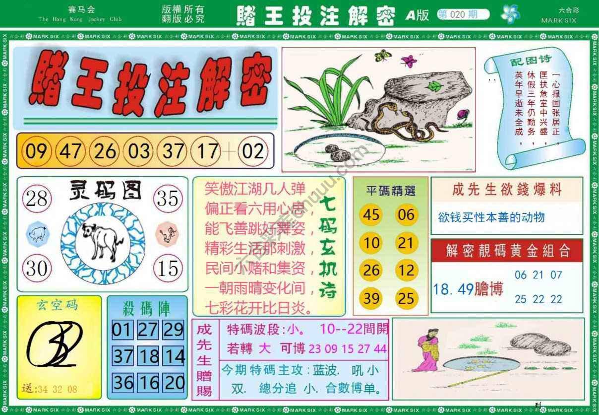 赌王投注解密