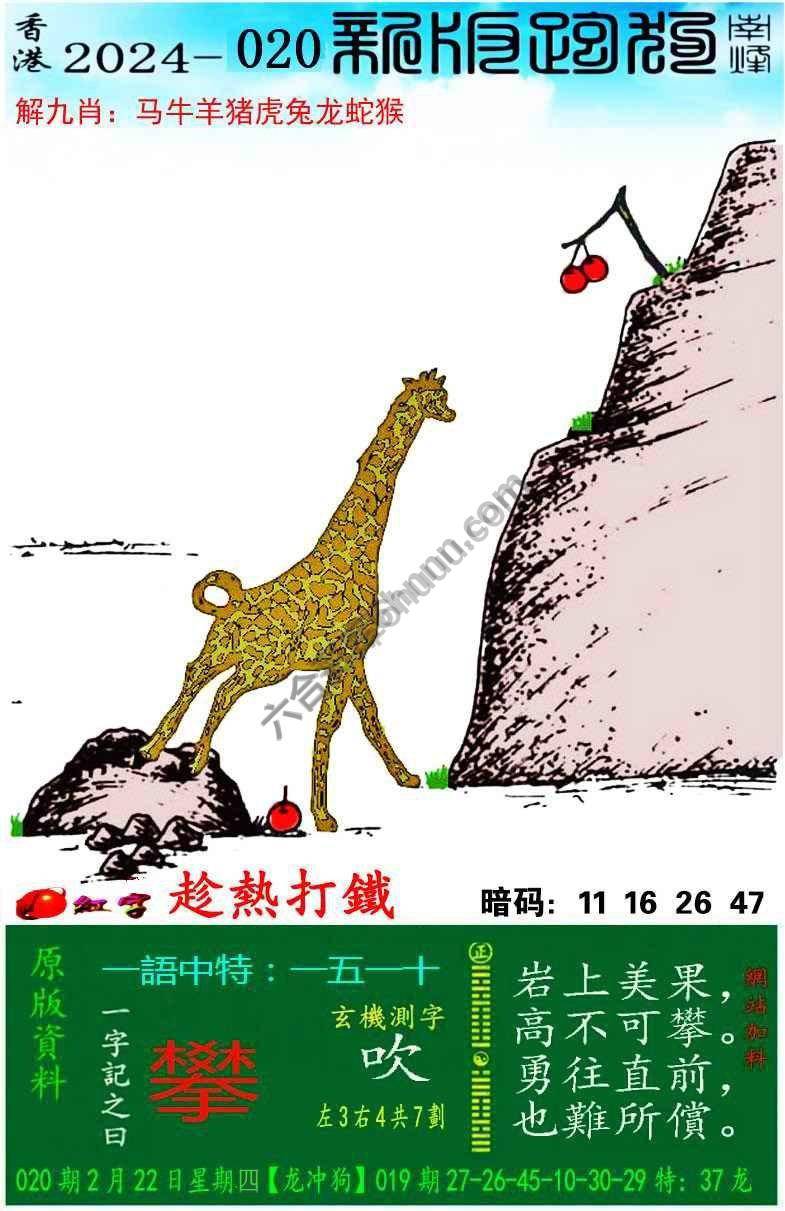 跑狗图（新版）