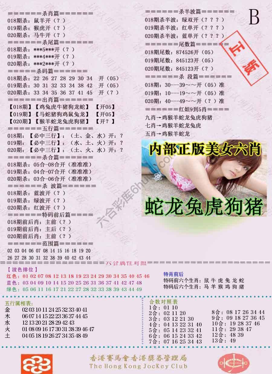 全网通缉令