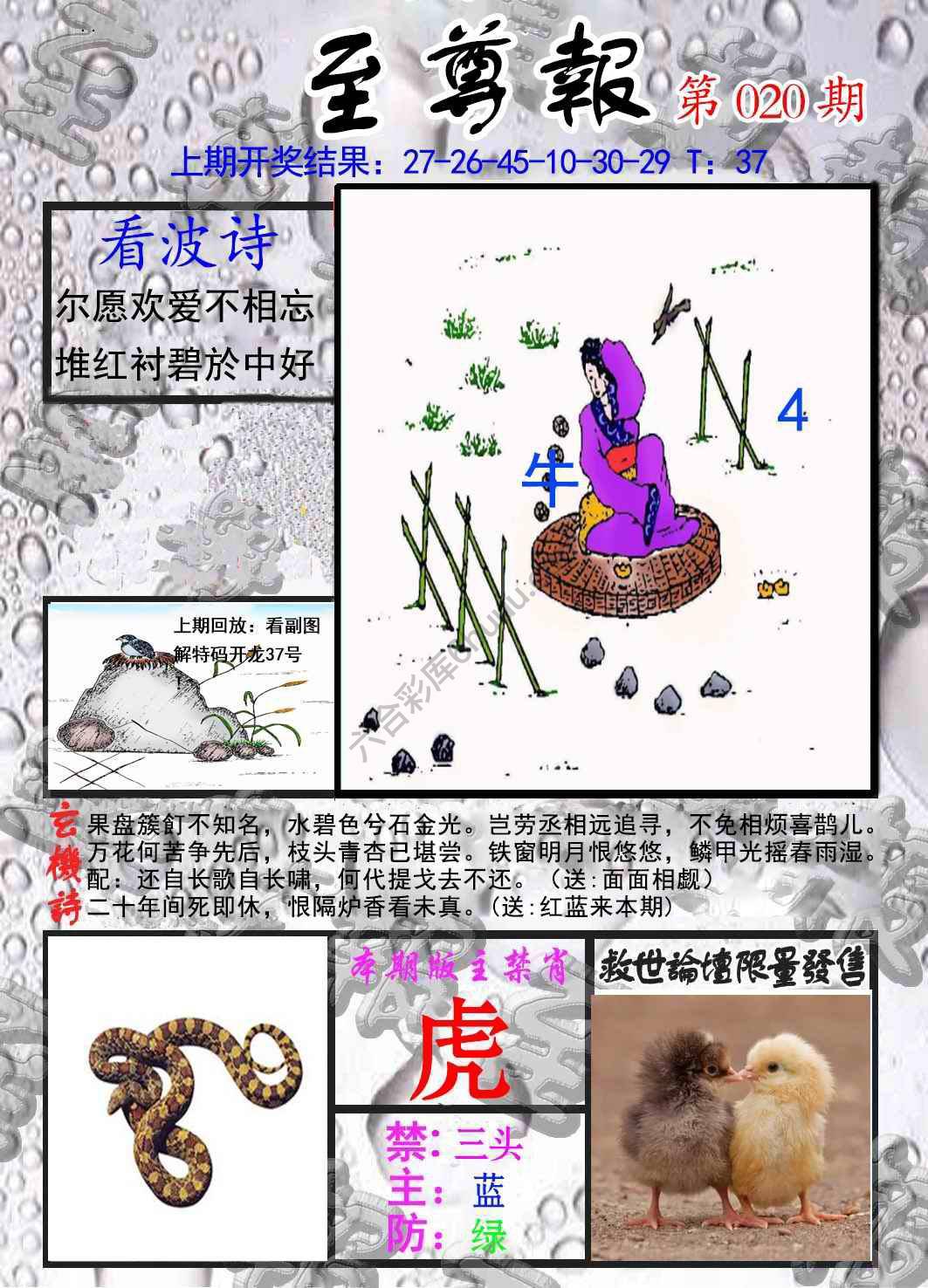 至尊报