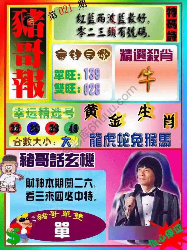 猪哥报