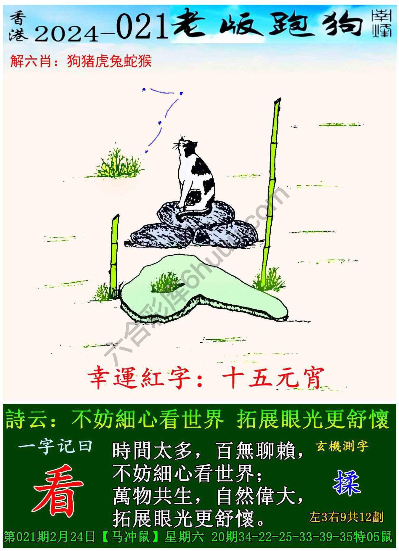 老版跑狗图