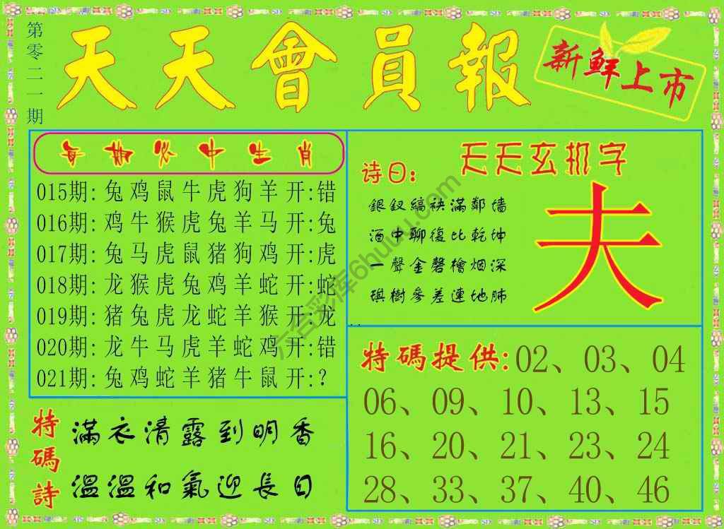天天会员报
