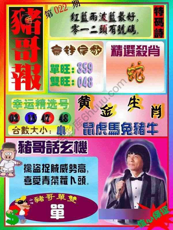 猪哥报