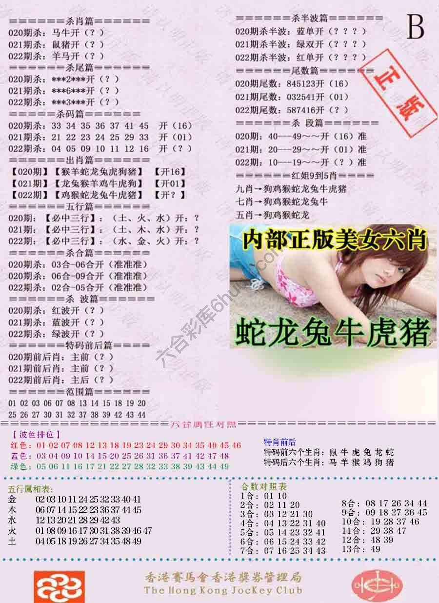 全网通缉令