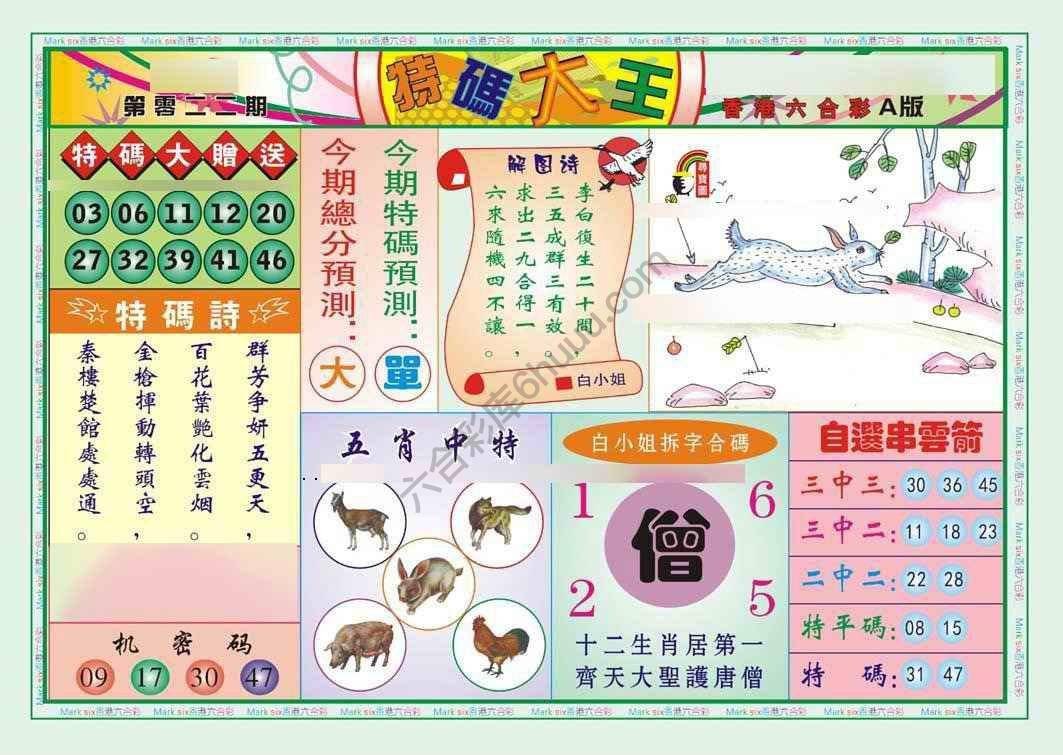 特码大王