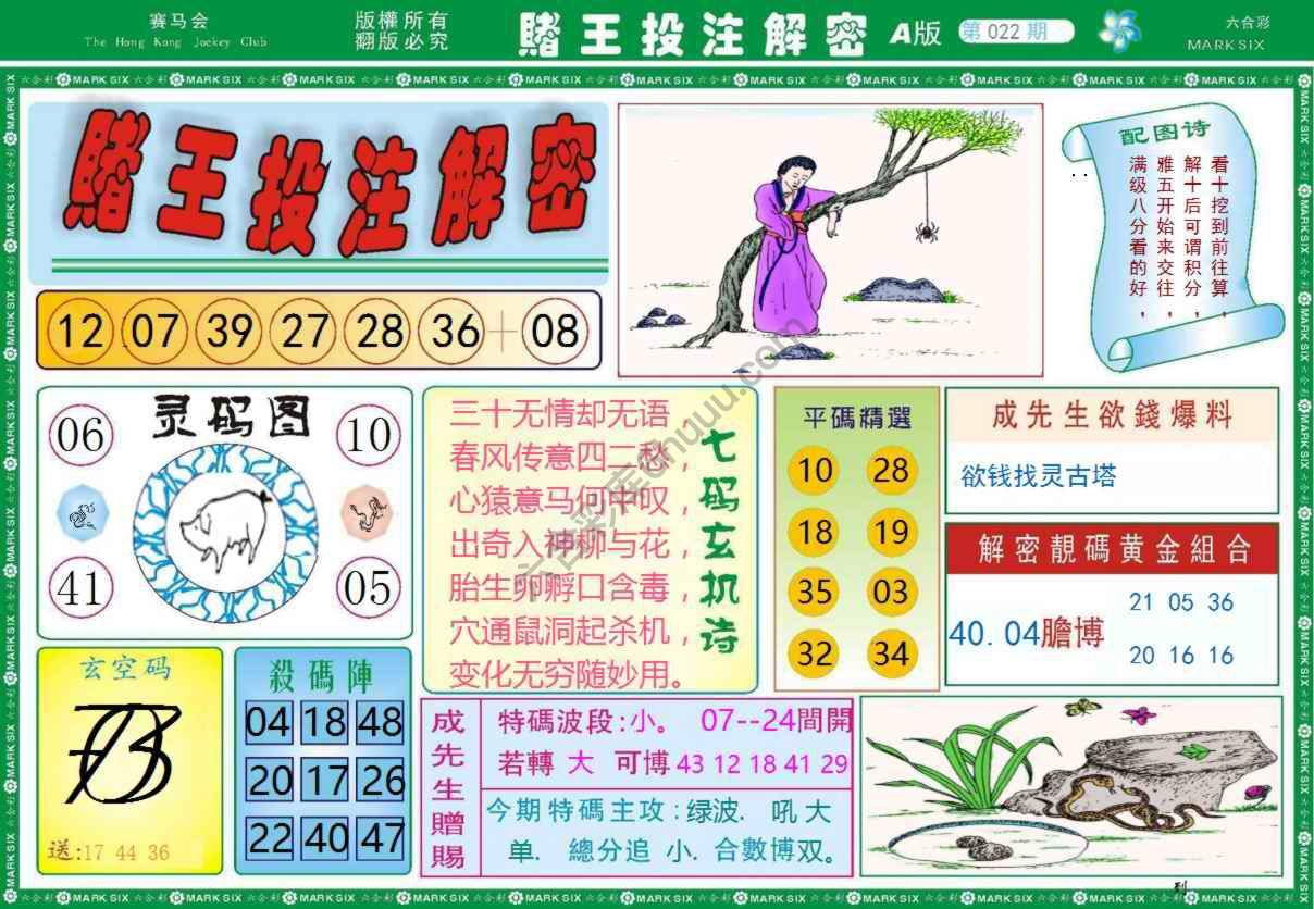 赌王投注解密