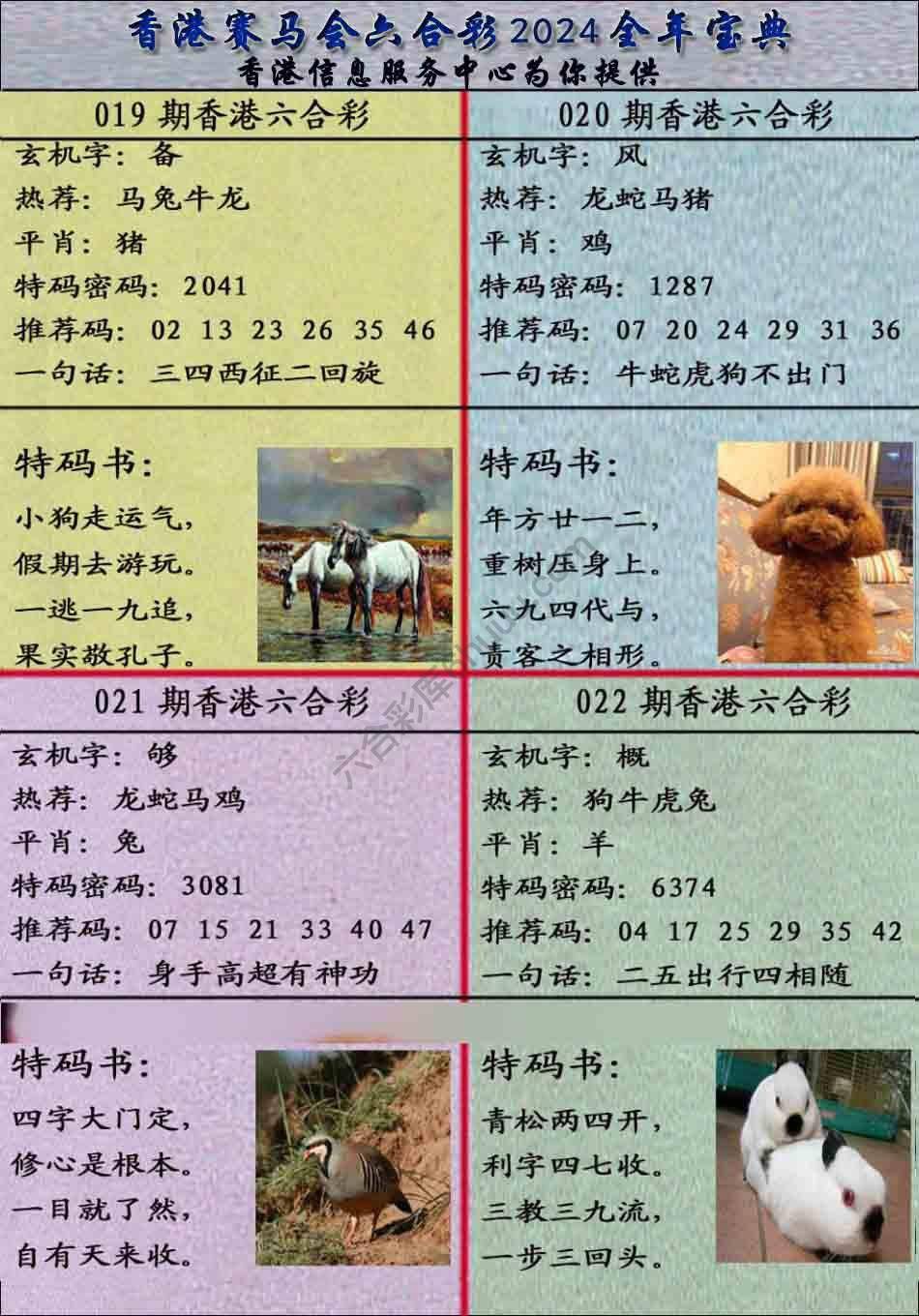 宝典报