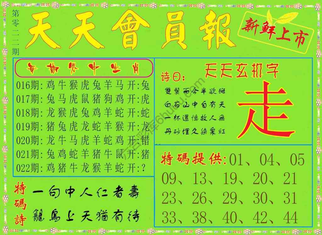 天天会员报