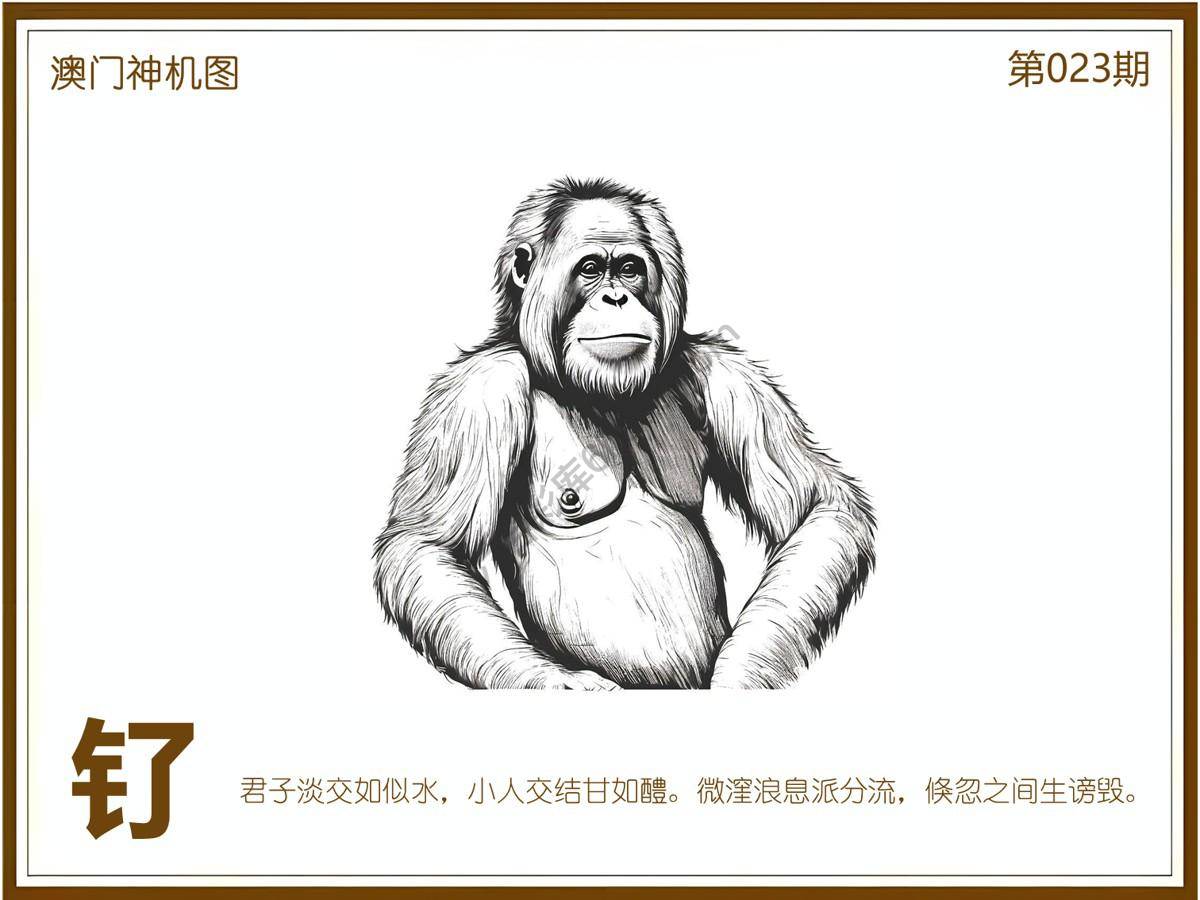 澳门神机图