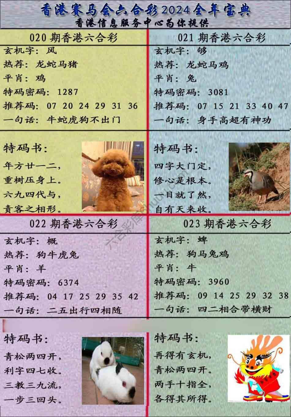 宝典报