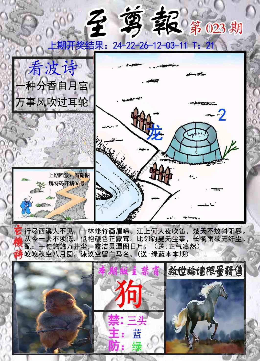 至尊报