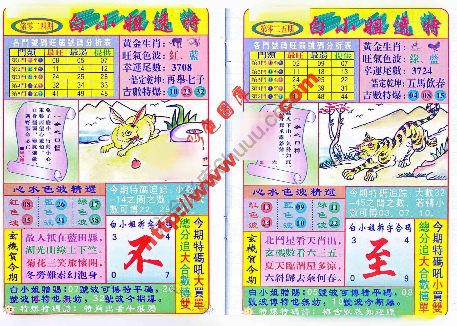 白小姐透特