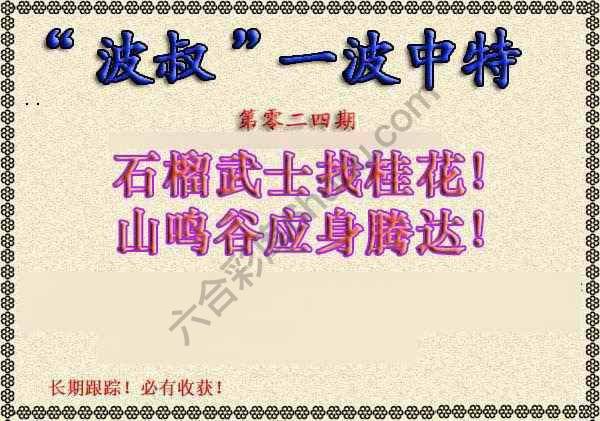 波叔一波中特