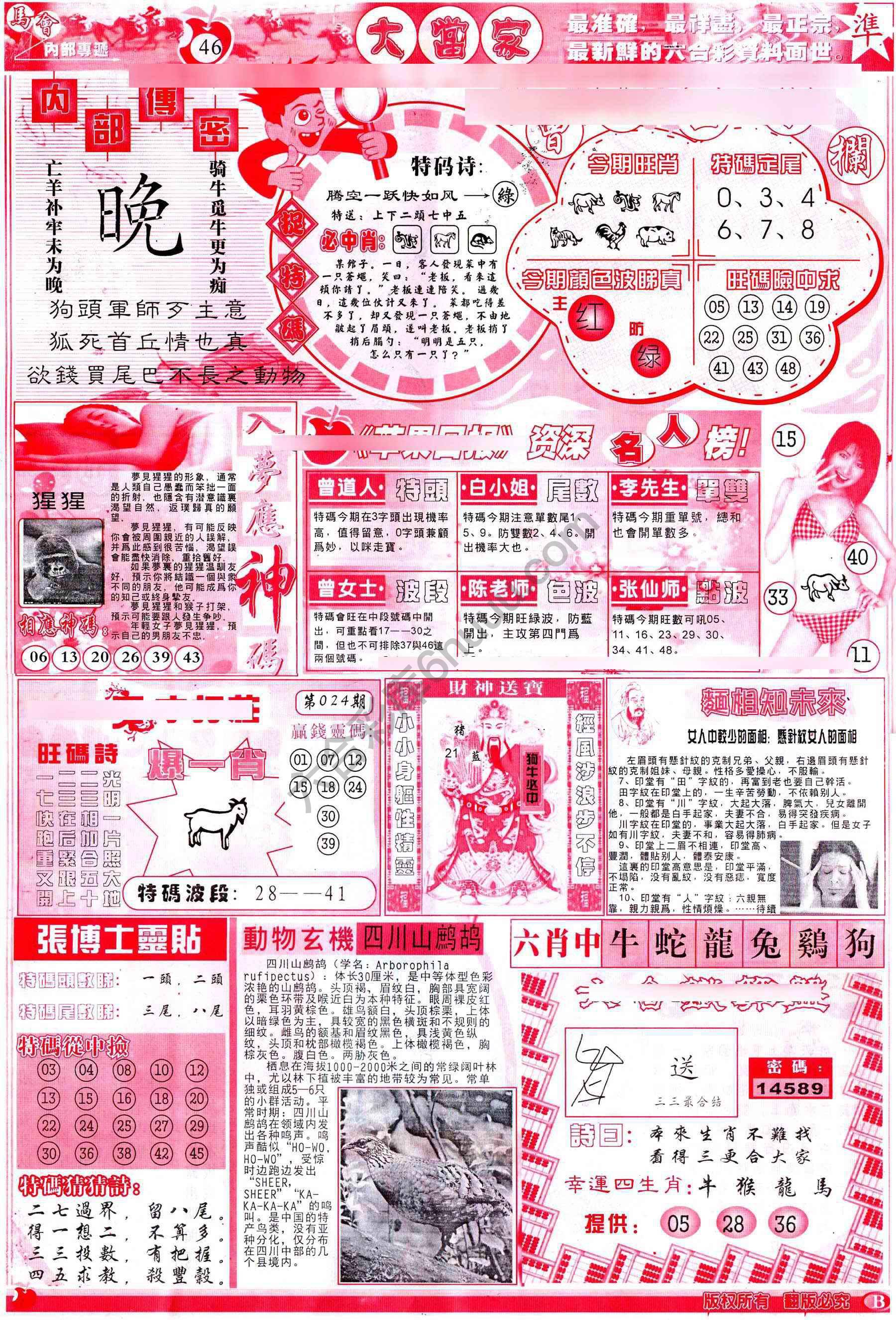 大当家
