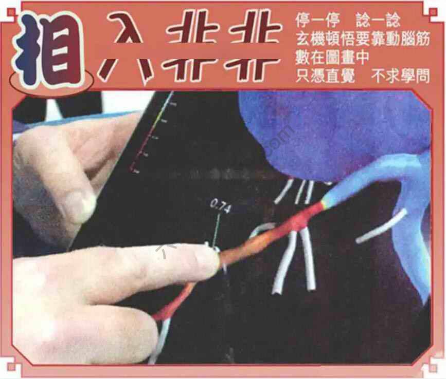 相入非非
