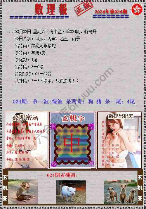 数理报
