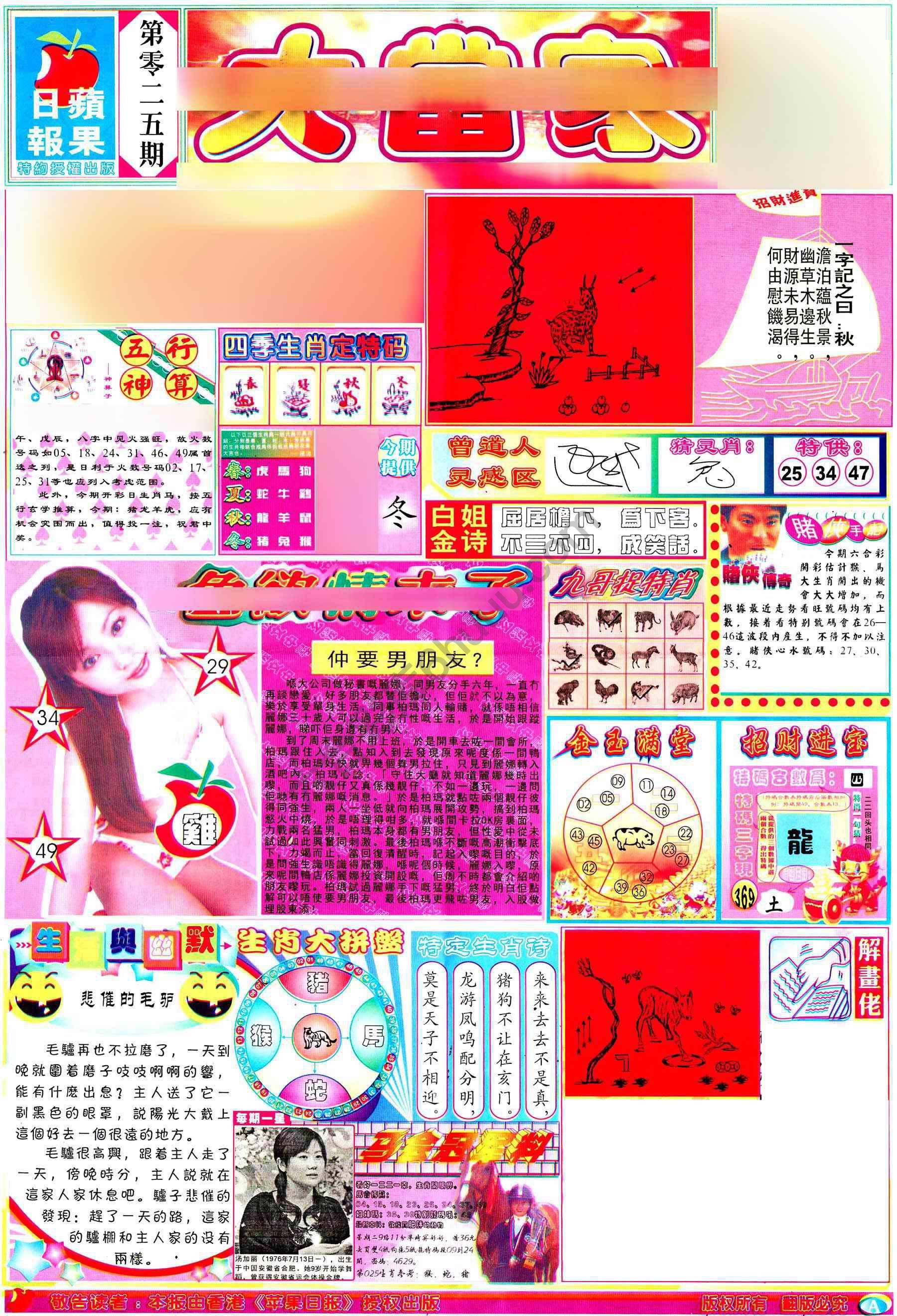 大当家