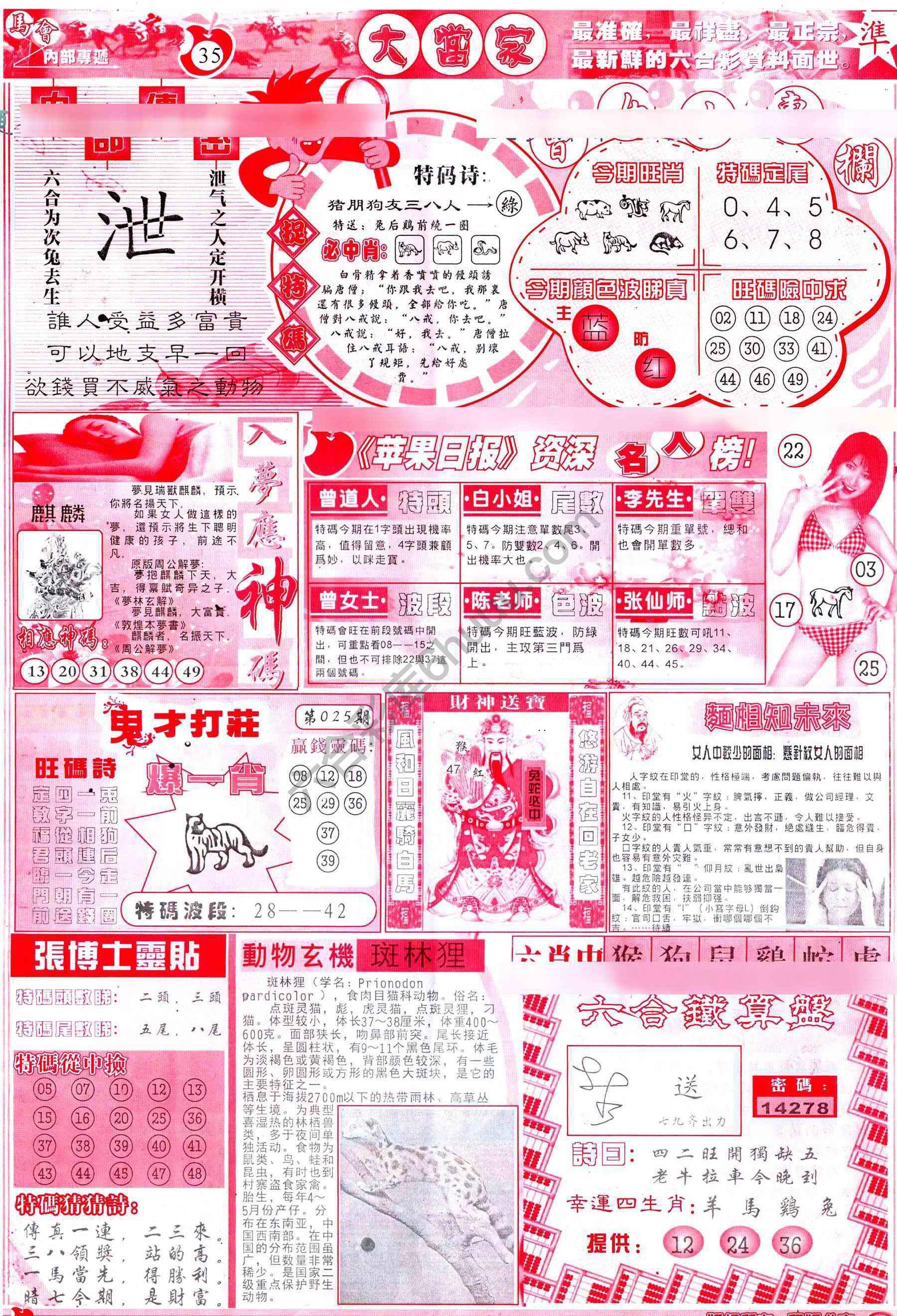 大当家